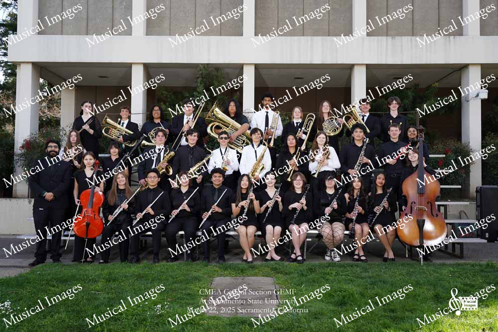 Musical Images